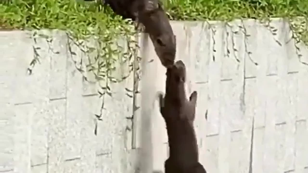 leave no one behind.