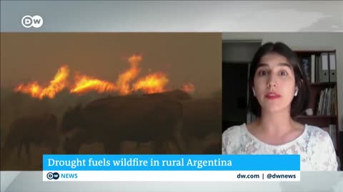 Firefighters in northern Argentina are struggling to contain massive wildfires | DW News