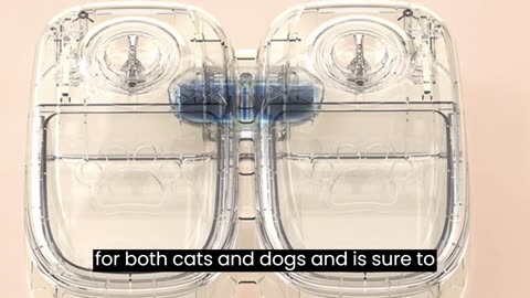 Automatic Pet Feeder Smart Food Dispenser for Cats & Dogs - Expressgenix