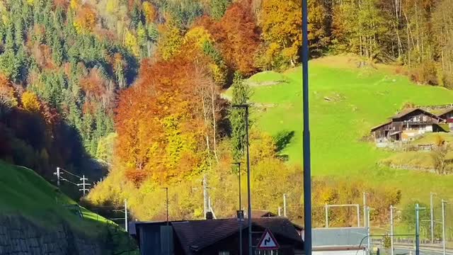 Road of heaven .. 📍LAUTERBRUNNEN🇨🇭