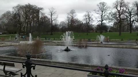 Animals in Hyde Park, London