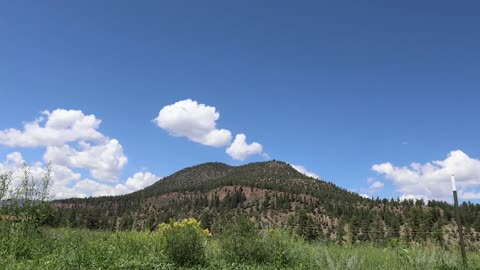 South Fork Campsite