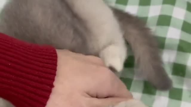 please be a human