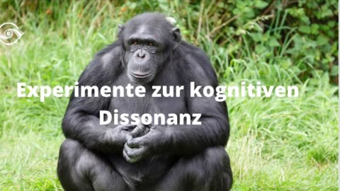 5 psychosoziale Experimente, die du kennen musst 🧠.