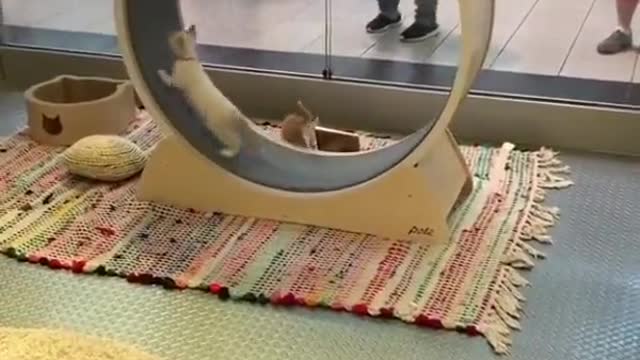 Physics, We don't Care