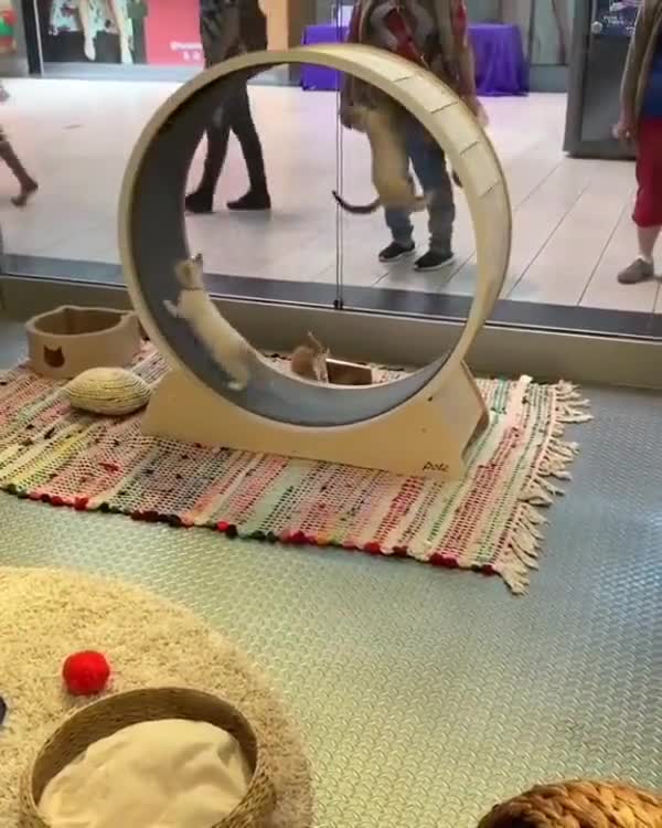 Physics, We don't Care