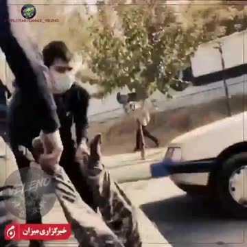 ECCO I DIFENSORI DEI DIRITTI UMANI