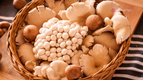 Grow your own mushrooms at home