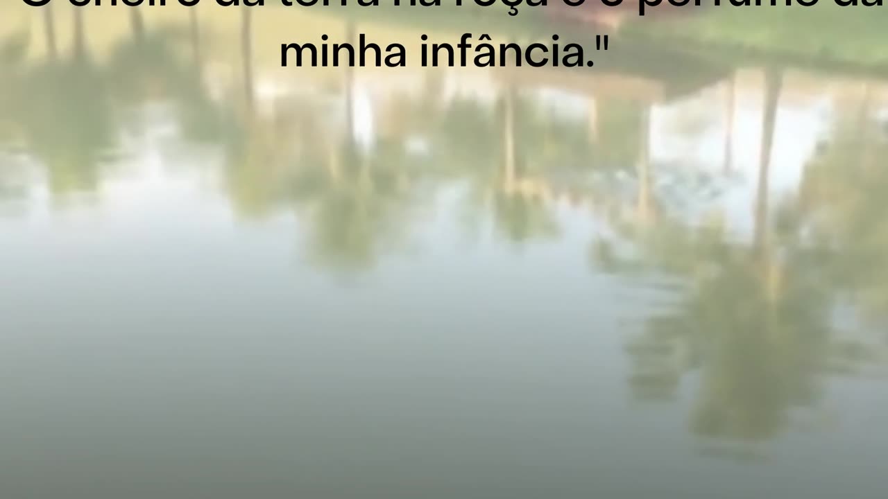 "O cheiro da terra na roça é o perfume da minha infância." - João Almeida