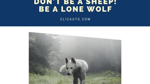 DON'T BE A SHEEP! BE A LONE WOLF.