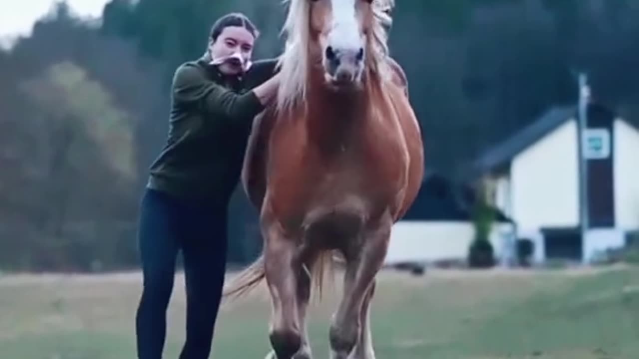 Horse riding