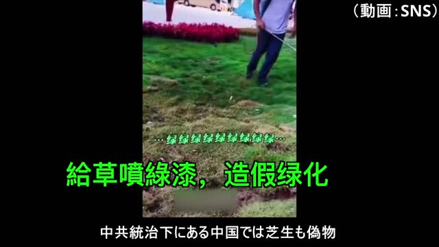 中共統治下にある中国では芝生も偽物