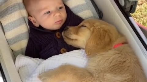 Share this with someone who needs it 🤳👀!🍼❤️ #baby #usa