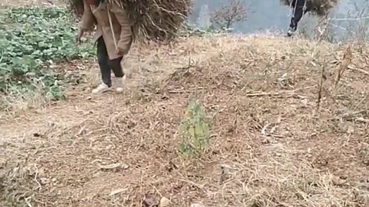 Cô gái vùng cao #127 _ Người mẹ đơn thân_ Clip cảm động _