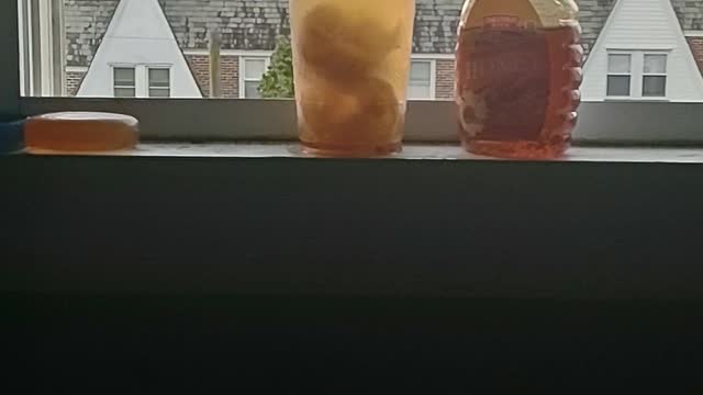 Lemon| Honey| Water. STASH Gives You $20 Free Stock Link:https://get.stash.com/?code=willie_0v0mxrp