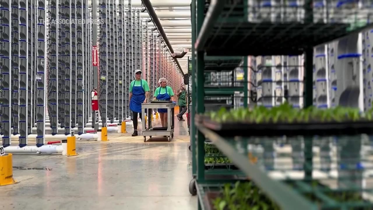 Indoor farms bloom despite challenges