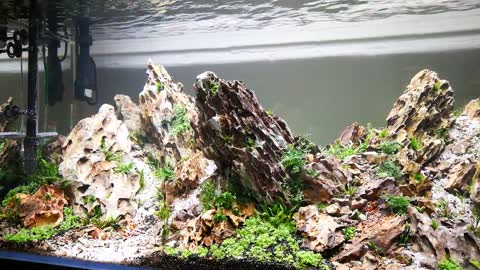 NEW 300L - Dragon stone aquascape inspired by the Turkish landscape