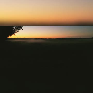 WATCH The Fog Dance!