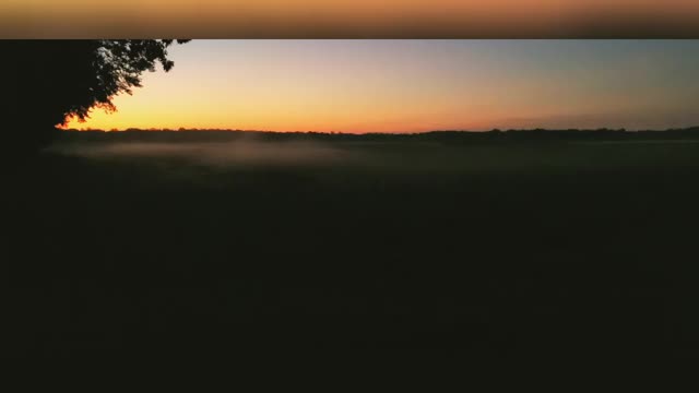 WATCH The Fog Dance!