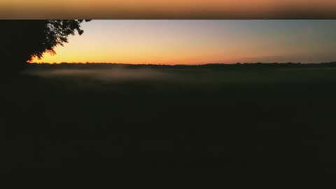 WATCH The Fog Dance!