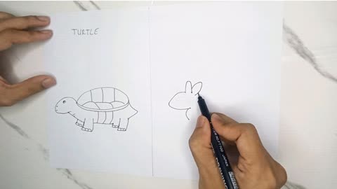 How to draw Turtle and Rabbit