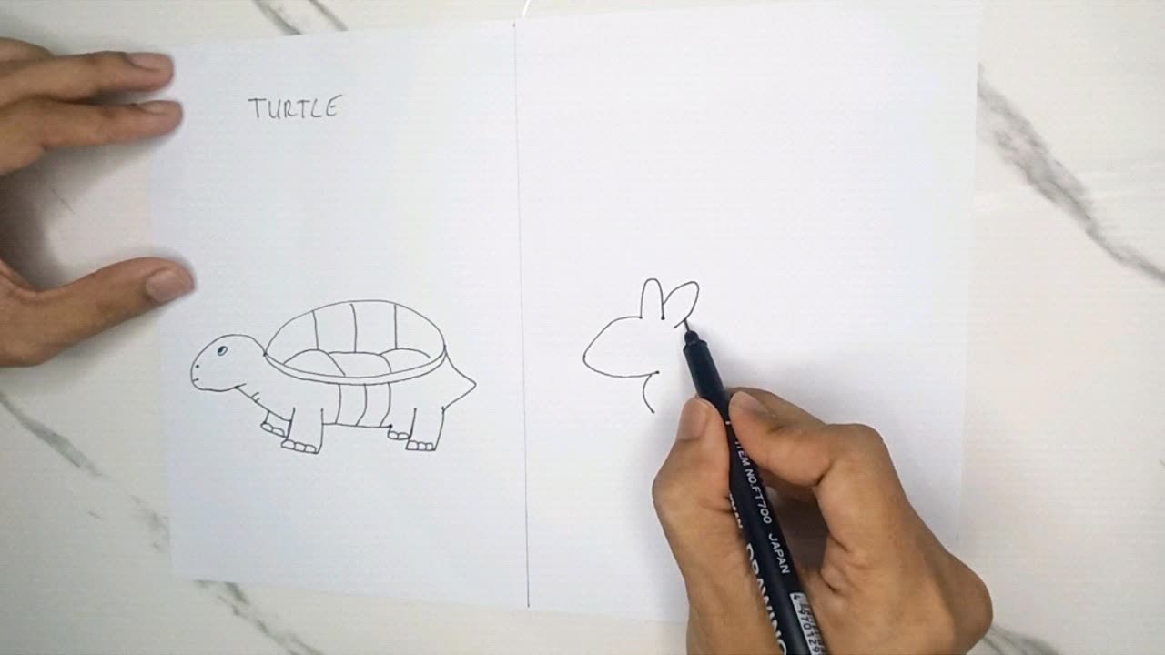 How to draw Turtle and Rabbit