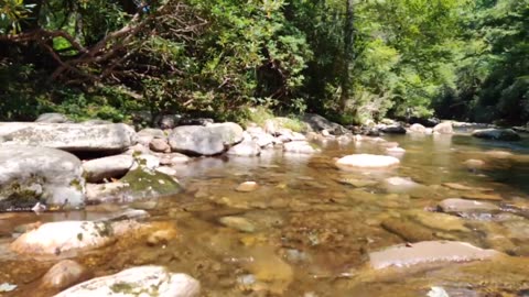 Mt. Mitchell Running Camp