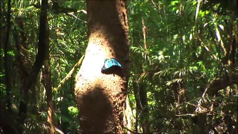 Colombia Nature Tourism