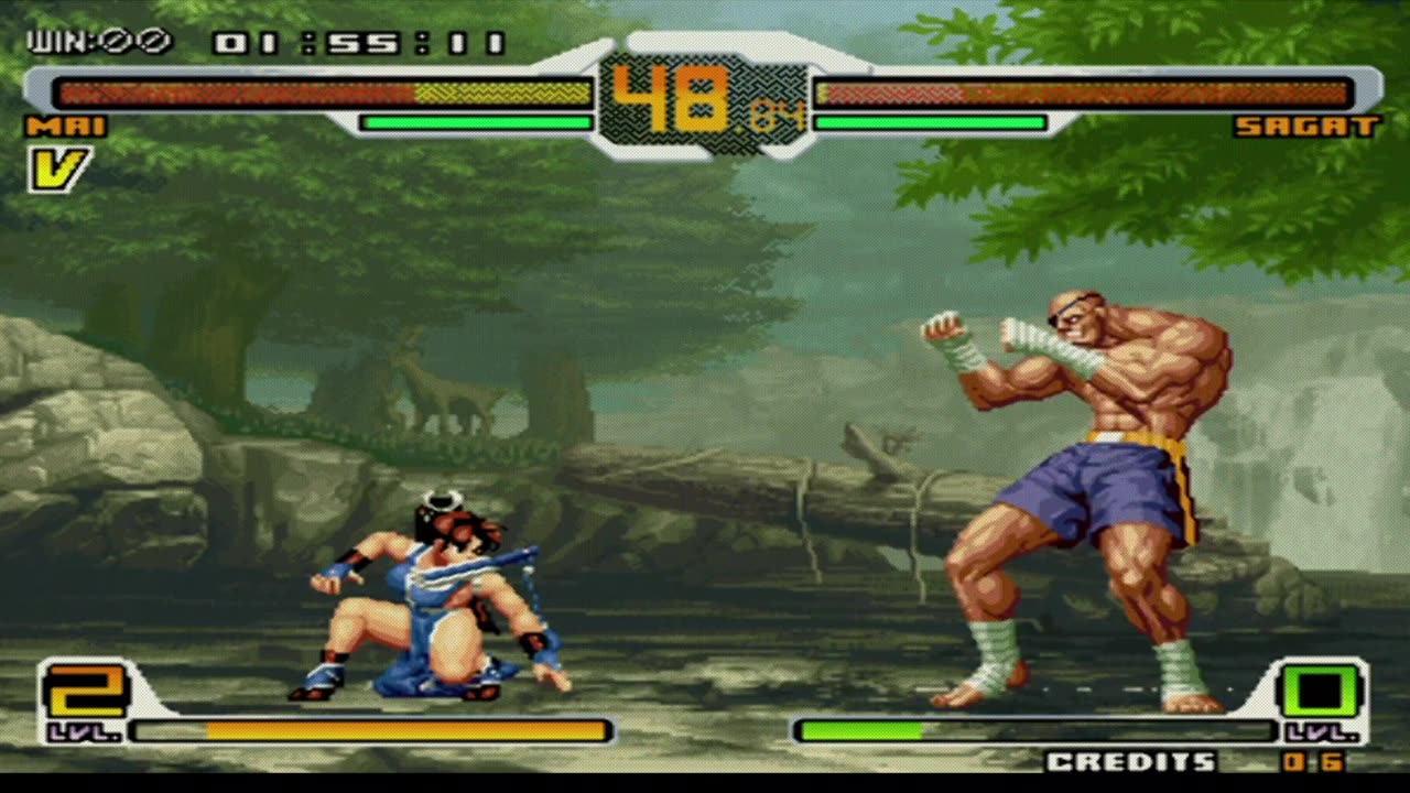 Mai vs Sagat