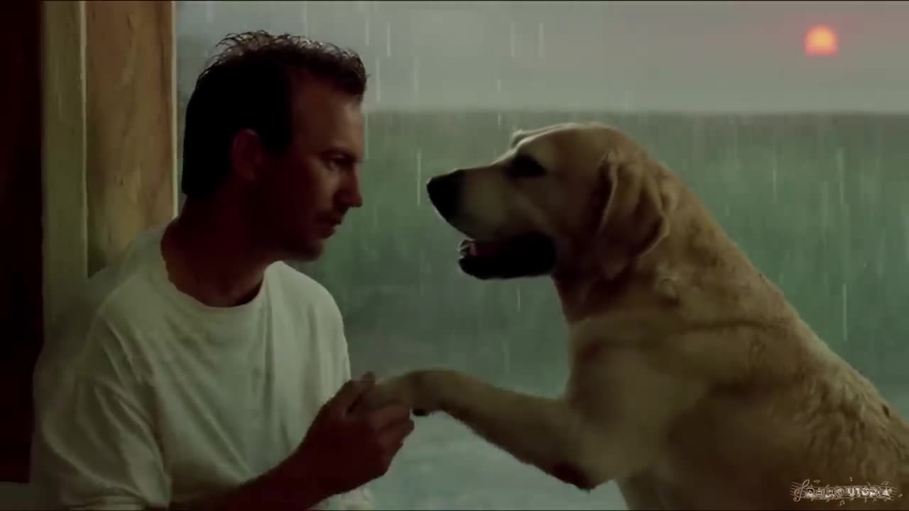 Celine Dion - Just Walk Away