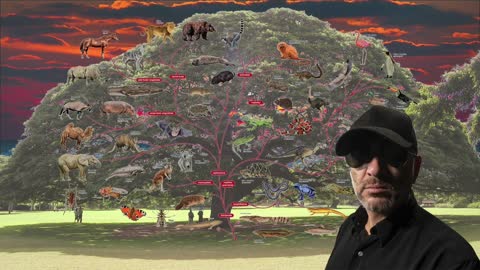 John Cullen Presents the Family Tree
