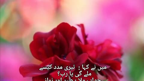 Allah se Guftugu Quran verses translation