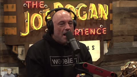 What Happened to Passenger Pigeons?