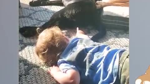 World's Funniest Baby And Pet Dog