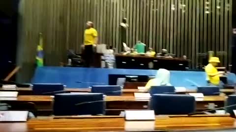 Brazilian Protesters Enter Senate Chamber