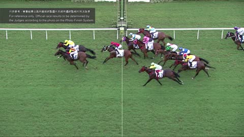 Horse_Race_2022060510_Chinese