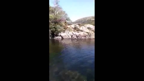 Wildcat Island Kayaking disaster