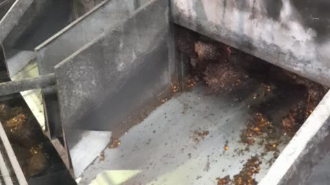 satisfying video