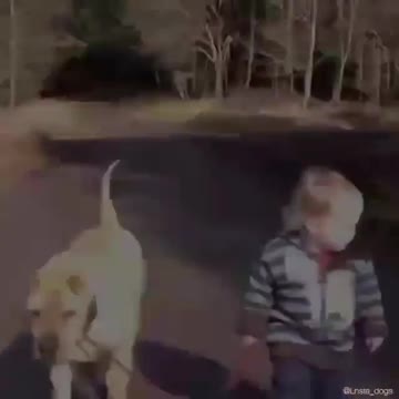 My all time favorite.. ❤️