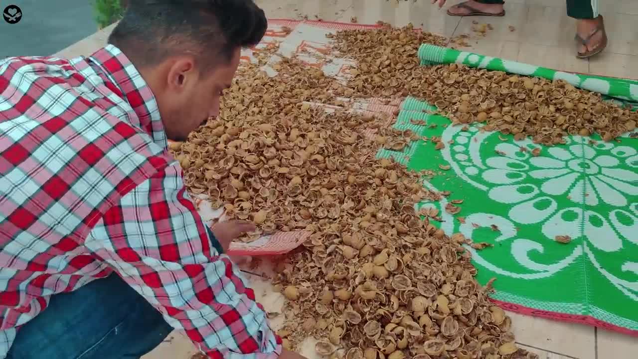 AKHROT KA HALWA MAKING _ Veg Village Food