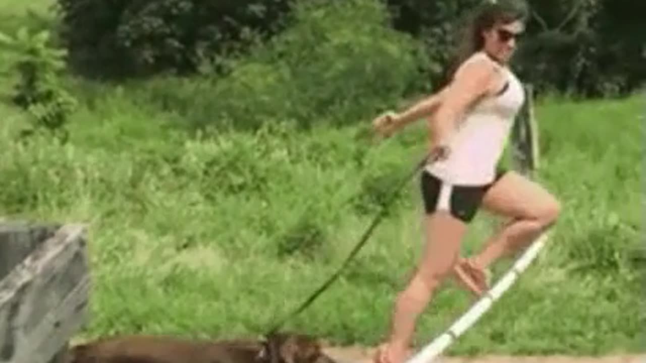 lady trips on a low bar teaching dog how to jump it.