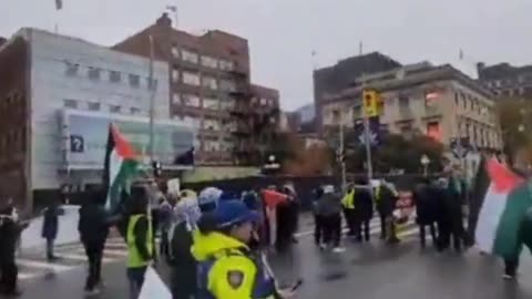 Palestine protesters attack RCMP vehicle in downtown Ottawa, force them to retreat