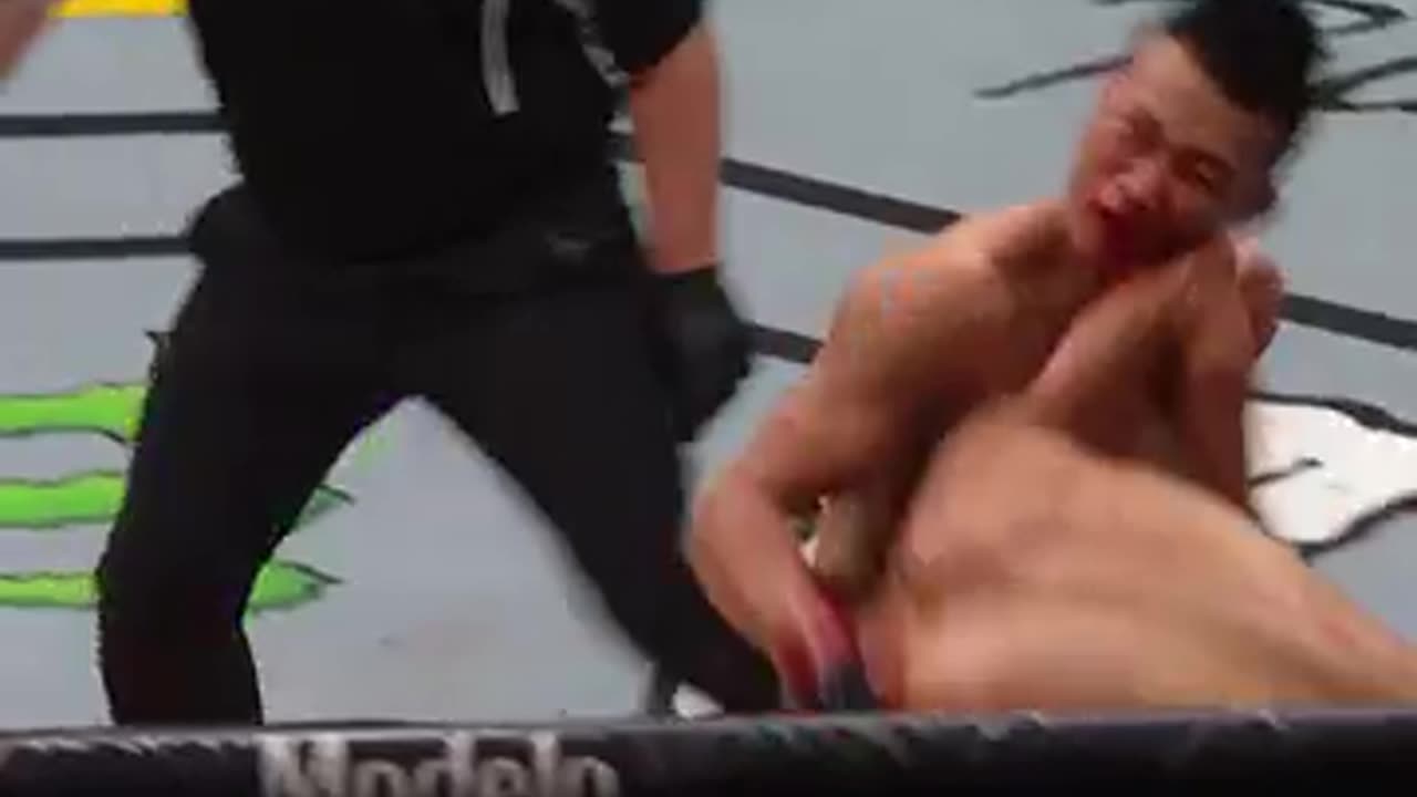 5 Most rare Finishes in the UFC