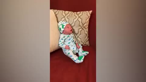 funny video 2024