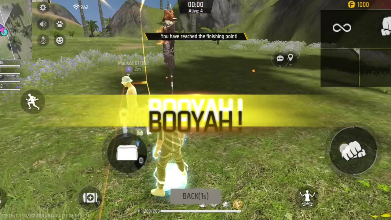 Free Fire