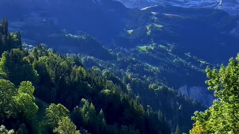 Beauty of Nature 🌿 📍Jungfrau Region