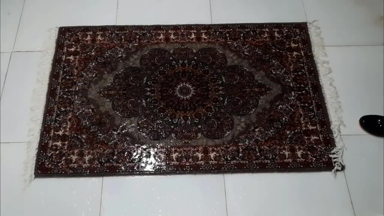 extremely dirty wet carpet cleaning satisfying rug cleaning asmr