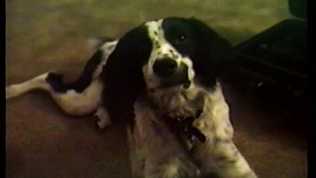 1987 Ashley as a Baby - Part 4a