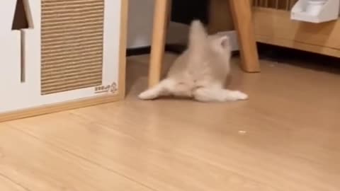 Climb!Climb!