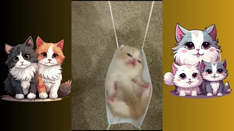 "Paws and Playtime: Adorable Cat Moments"